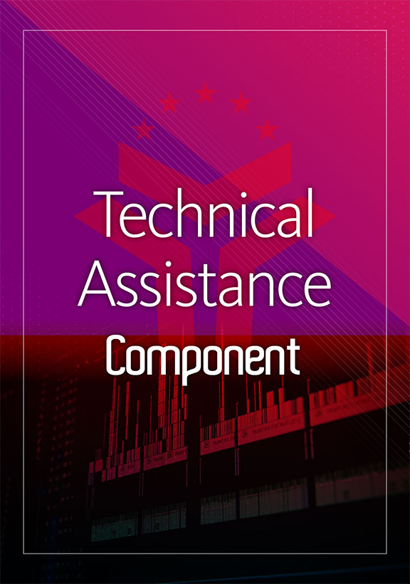 Technical Assistance Project